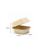 Bagasse Bento Box
